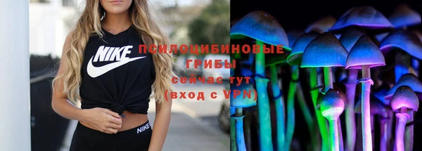 тгк Абдулино