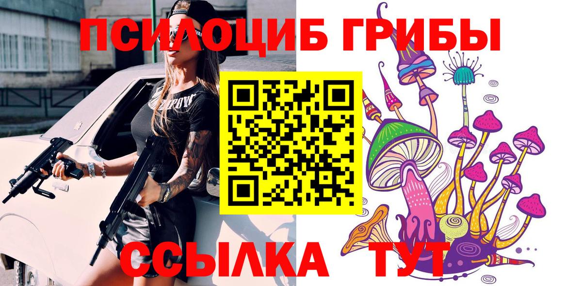 купить наркоту  Вход с VPN  Майский  Псилоцибиновые грибы Cubensis 