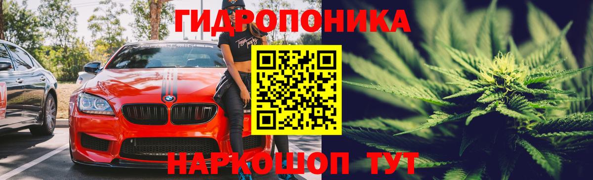 Шишки марихуана индика  Каннабис OG Kush  Майский  Конопля марихуана  Вход с VPN 